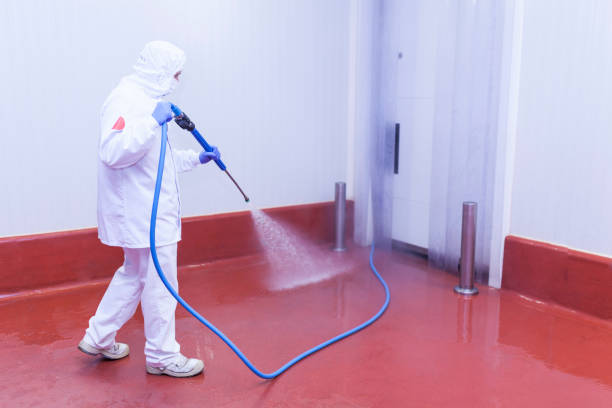 Best Warehouse Cleaning  in Hazel Park, MI