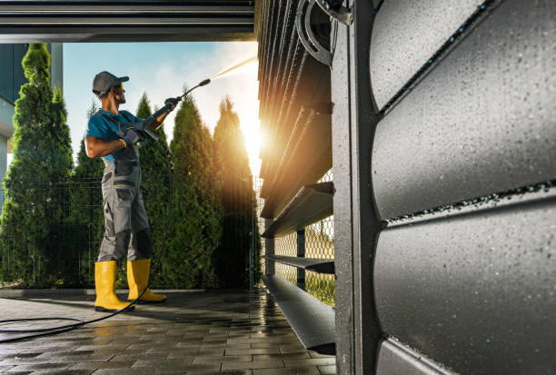 Best Sidewalk and Walkway Cleaning  in Hazel Park, MI